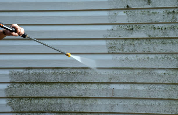 Best Driveway Pressure Washing  in La Plata, MD